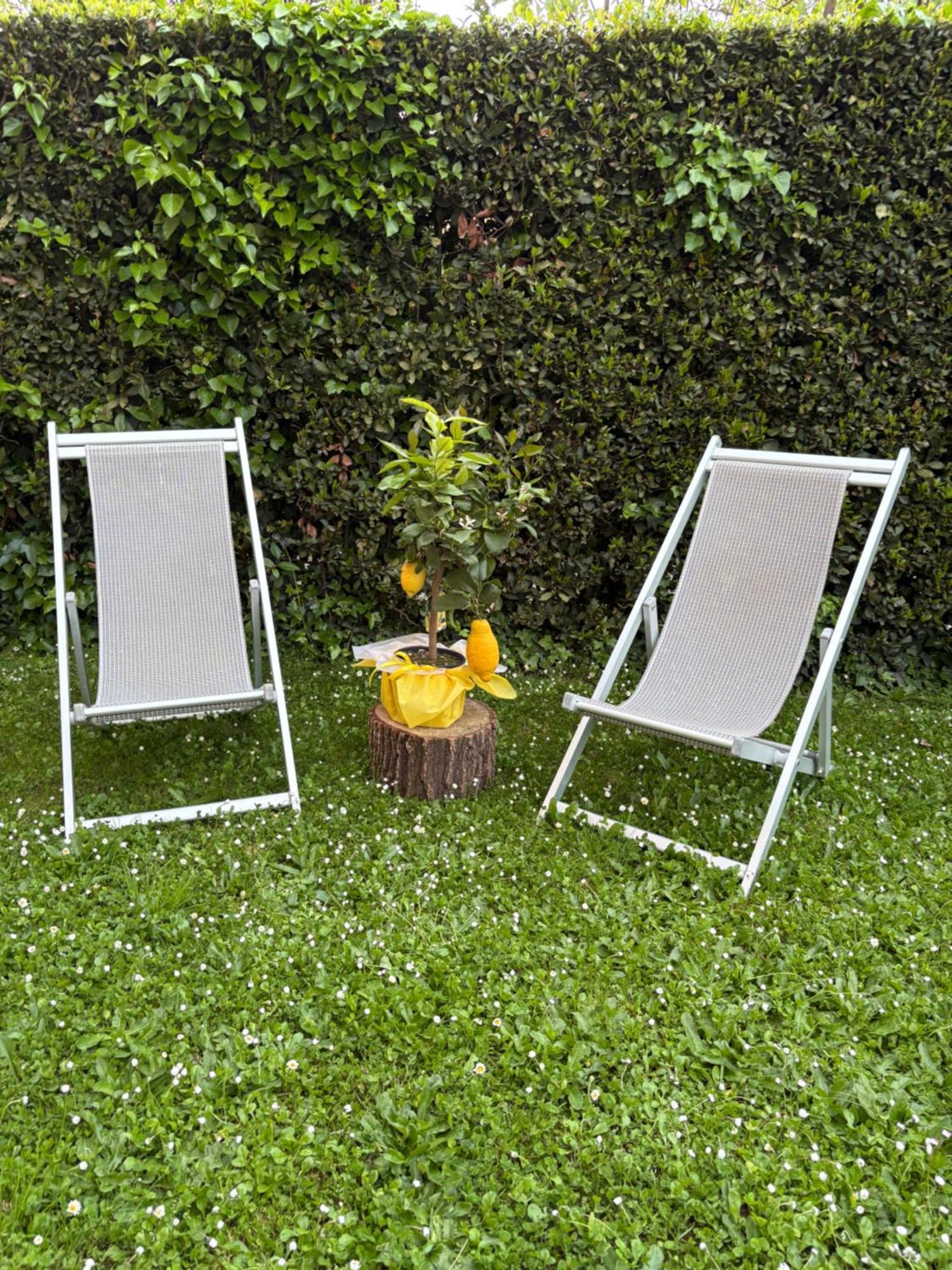 Villa Agnese B&B Lucca Eksteriør billede